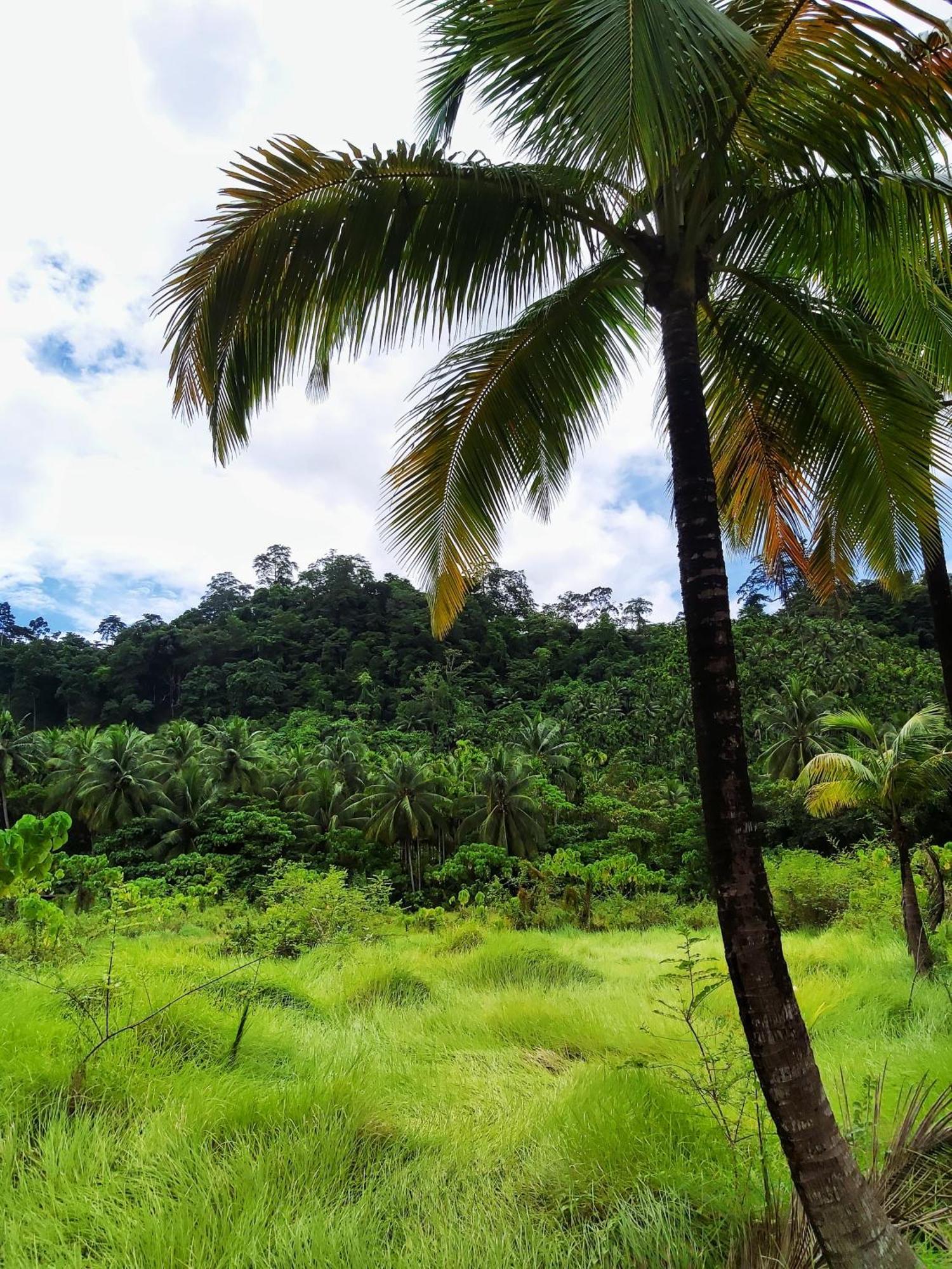 Nancowry Resort Govind Nagar Luaran gambar