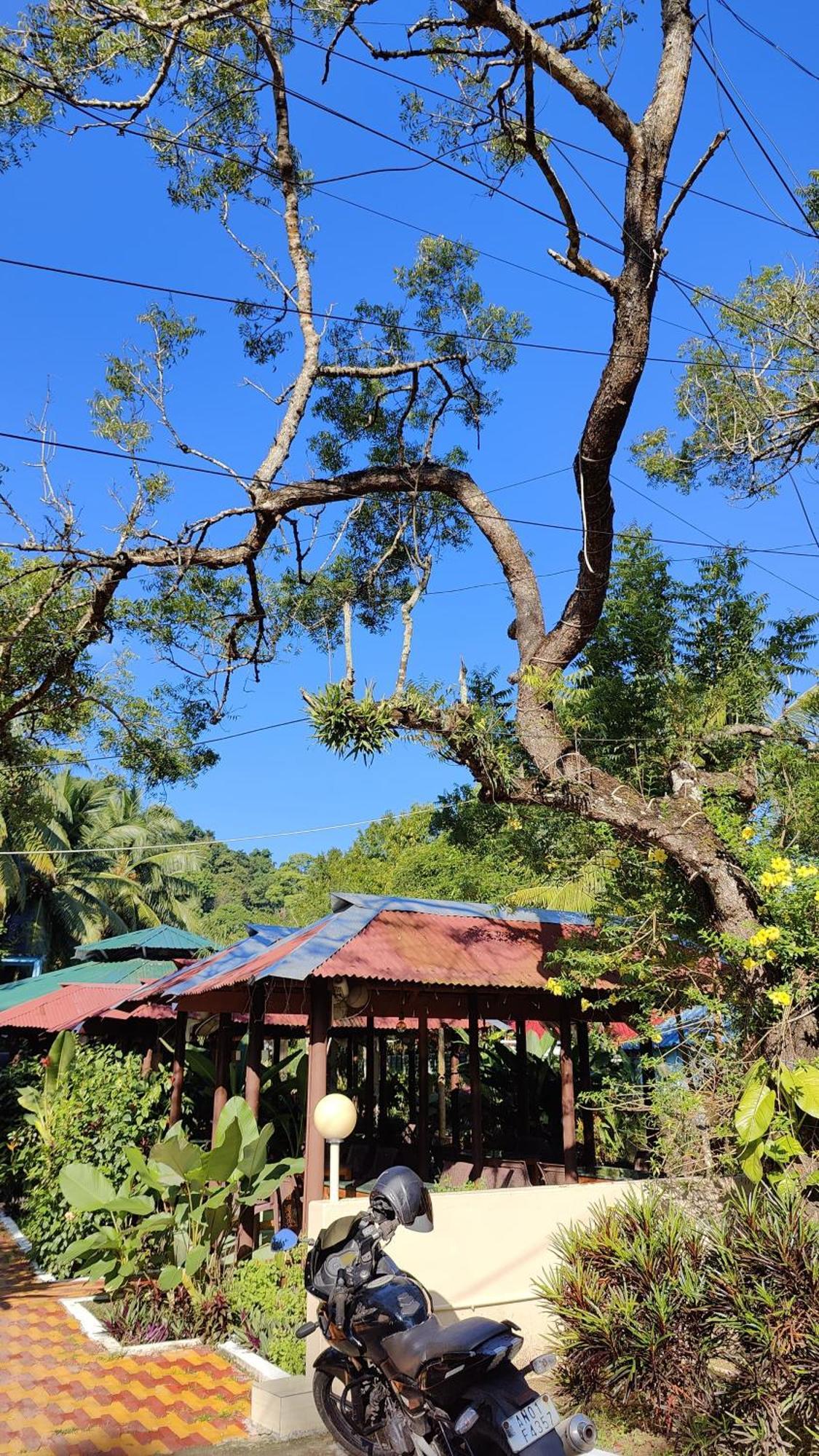 Nancowry Resort Govind Nagar Luaran gambar